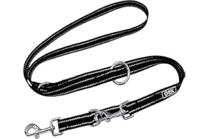 DDOXX Hundeleine Nylon, reflektierend, 3fach verstellbar, 2m | für kleine & große Hunde | Doppel-Leine Zwei Hund Katze Welpe | Schlepp-Leine | Führ-Leine | Lauf-Leine Welpen-Leine | S, Schwarz