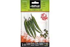 Semillas Batlle Poivron Piment Vert