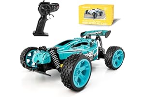 Tecnock RC Car Remote Control Car for Kids, 1:18 High Speed 20 KM/H 2WD RC Buggy, 2.4GHz Off Road Racing with Rechargeable Batteries, Toys Gift for Boys and Girls