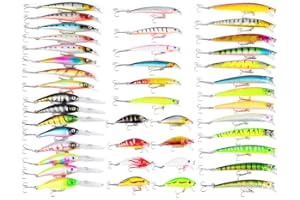 Leurres de pêche Kit avec Boîte à Outils Portable, RoseFlower 43 Pièces Flottante Set Appât de Pêche Hameçons Basse Accessoires avec Spinnerbaits, Minnow, Crank, Popper, VIB, Spoon Lures - Baits Kit