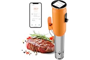 INKBIRD Wifi Sous Vide Roner 1000W, WLAN Professionali Roner Cucina, 0-90℃ Cottura Bassa Temperatura: TFT, Riscaldamento a Circolazione Dell'Acqua 3D, Menu Preimpostati Dell'App e Timer, Preciso 0,1°C