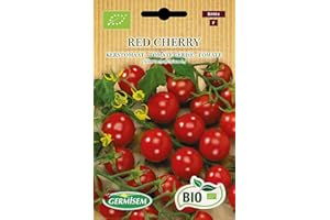 Germisem Bio Graines Tomate cerise RED CHERRY ECBIO8004