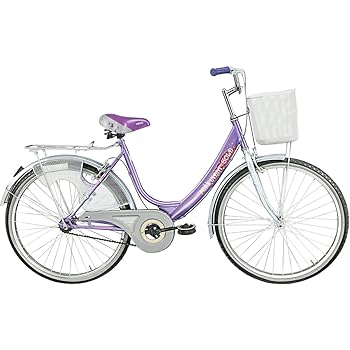 bsa lady bird breeze