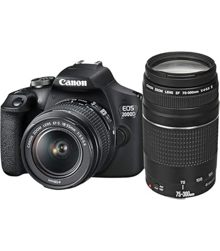 Canon EOS 20D Digitalkamera inkl. 18-55 EF-S Objektiv