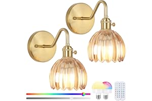 EIDEARAY Battery Operated Wall Lights,Rechargeable Wall Lights with RGB Dimmable Remote Control,Rechargeable Gold Wall Light,Amber Tulip Glass Lampshade for Living Room Bedroom Hallway 2-Pack
