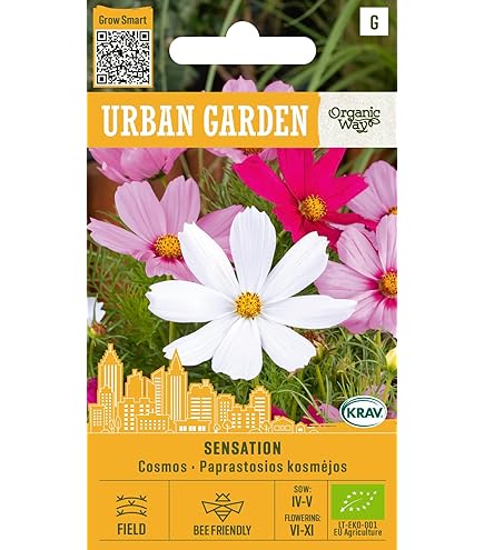 Cosmea | Double Click Mix | Cosmos bipinnatus | Jansen Zaden