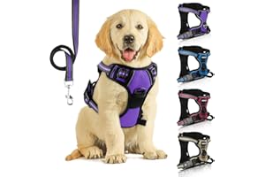 SIBOTER Imbracatura per cani anti-trazione per cani imbracatura per cani anti trazione riflettente con guinzaglio per cani per allenamento all'aperto (viola, M)