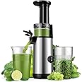 KIDISLE Compact Juicer Machines Powerful Cold Press Juicer Easy to Clean Slow Juicer High Yield Juice Extractor Low Noise Masticating Juicer for Fruits and Vegetables Reverse Function 600ml Cup Brush