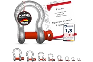 PinPro 2X geschweifte Schäkel mit Augenbolzen | Traglast/WLL 0,33t-6,5t wählbar | Aus feuerverzinktem hochfestem Stahl (2 Stück, WLL: 1,0t)