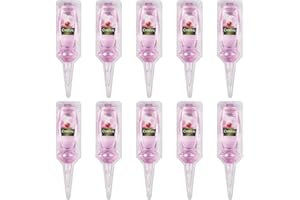 Chrysal Orchideen Vitalkur - 10x 30 ml Gebrauchsfertige Schönheitskur für Orchideen