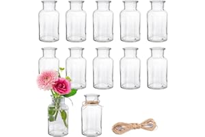 DATEFUN Pack of 12 Mini Glass Vases, 250 ml Small Bottles with Jute Cord, Flower Vases, Table Vases, Glass Vases, Decorative Bottles, Glass Bottles, Glass Bottles for Table Decoration, Centrepieces, Wedding