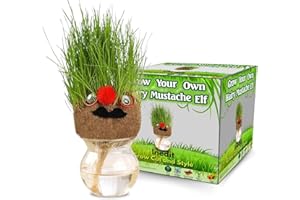 NEDIT Grow Your Own Kits - Grow Your Own Hairy Mustache Man - Perfect and Funny Gift for Men Women Kids - Fresh Grass Plant for Home and Garden Decoration
