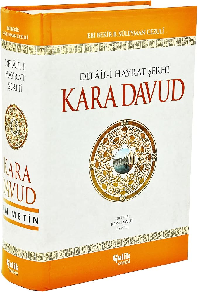 Kara Davud: Delail-i Hayrat Şerhi