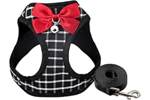 DAGLLGEW Cat Harness and Leash Set, Breathable Comfort Cute XXS Dog Harness with Bow & Bell, Adjustable & Anti-Slip for Puppy Kitten Rabbit Xxs Dog Kitten Leash and