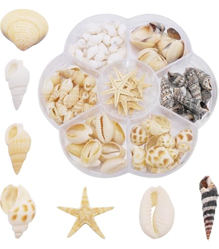 Feiner Sand Im 400 G Behälter – Ideal Zum Basteln, Für Sandkunst Oder Miniaturlandschaften, Körnung 0,4–1 Mm
