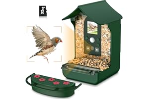 Rkdely Mangeoire Oiseaux Camera, 1080P HD Vision Nocturne Mangeoire Oiseaux Exterieur Camera Intelligente Capture Automatique D’Images/Vidéos Microphone Intégré avec Mangeoire à Oiseaux Colibri