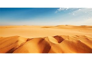 MIRRORANG 120x50cm Fond de Terrarium Bleu Ciel Orange Sable désert Reptile Habitat Fond Fond Vinyle Durable