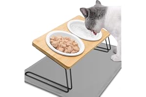 Otauoaea Ciotola per gatti rialzata – Set di 2 ciotole per cibo gatto in ceramica – Mangiatoia inclinata a 15° per gatti e cani di piccola taglia