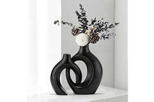 Anquephd Juego de 2 jarrones de cerámica huecos, jarrón moderno redondo único para decoración de estilo minimalista nórdico, rosquilla boho estética, jarrón estético para mesa de café y cocina, hierba