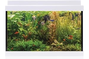 ICA Interiörsats Aqualed 20 Vit, 20 L, 40,7 x 29,2 x 20,2 cm
