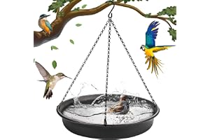 Bolivia's Hanging Bird Feeder, Hanging Bird Water or Bird Seed Bird Baths, hanging Tray Bird Bath Tray Garden Bird Bat Bird Feeder Plate, Birds Bath for Garden Yard Decoration