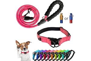 Mauts Dog Collar,Adjustable Dog Collar and Lead Set for Large Medium Small Dogs.(Large, Pink)