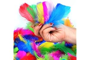 SUNRIZ Feather for Crafts, 300 Pcs Coloured Feathers Natural Goose Feathers for DIY Dream Catcher Carnival Decorations/Hat/Vase/Mask, Fluffy & Soft, Small & Large