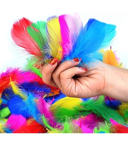 700 Federn Bastelset - Bunte Bastelfedern 5-12cm Für Traumfänger & Deko