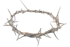 Zuluf Jerusalem Authentic Biblical Lifesize Real Crown of Thorns with Box & Certificate | Religious Easter Wreath Home Décor Tree Topper | Jesus Christ Wall Decor Christmas Christian Gifts| HLG214