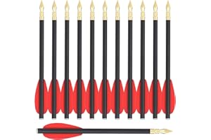 WANVZMR 6,3" Carbon Pistole Armbrust Bolzen Pfeile,Mini Armbrustbolzen Armbrustpfeile mit Stahlspitzen Jagdpfeile für 50-80 lbs Pistolenarmbrust Präzisionsziel,Schießübungen kleine Jagd