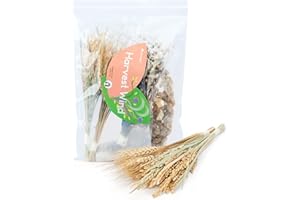 Niteangel® Natural & Soft Hamster Bedding Mate Small Animal Habitat Decor for Syrian Dwarf Hamsters Gerbils Mice Degus Bunny or Other Small-Sized Pet (Harvest Version)