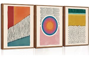 TOARTi Boho Framed Canvas Prints Wall Art Set, Mid-Century Abstract Color Block Shape Wall Decor, Geometric Illustrations Art