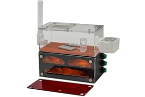 Rimsunta Ant Farm for Live Ants - for Small Ant Clony - Natural Learning Toy - Great Gift, White