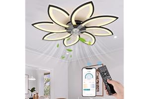 NACATIN Ventilatore da soffitto con illuminazione e telecomando, ventilatore da soffitto in acrilico con LED da 35 cm, oscuramento continuo e velocità del vento regolabile