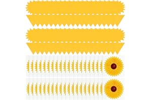POBUSOLT 80PCS Trap Stickers Include 40PCS Window Fly Traps Sunflower Window Fly Stickers 40PCS Fruit Fly Traps Double-sided Sticky Catcher for Multiple Insects Plant Fly Control