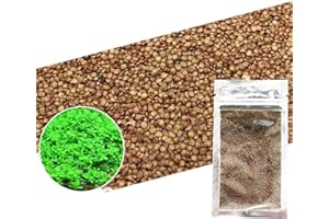 T-SHIN Aquarium Grass Plants Seeds,Aquatic Double Leaf Carpet Water Grass,Oxygenating Weed Live Pond Plant Seeds,Fish Aquatic Water Grass Decor,Easy to Plant Grow Maintain (Green-SDL)
