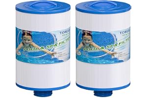 TOREAD Ersättning för Spa Filter Unicel 6CH-940, PWW50P3 (inte PWW50P4), Filbur FC-0359, 817-0050, 25252, 03FIL1400, 1 1/2" SAE gängskruv i filter, 2-pack
