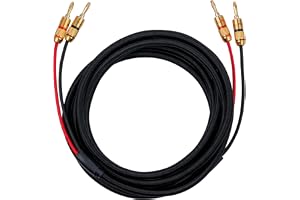 Fluance högkvalitativ 12 AWG högtalarkabel med dubbla förgyllda bananpluggar, 12 fot syrefri kopparkabel (OFC), flätat nylonskydd (SW512)