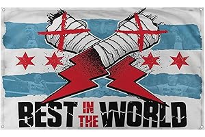 BANGER FLAGS Banger - CM Punk Best In The World Handschuhe Wrestling Logo Inspirierend Motivierend Büro Gym Wand Wohnheim Dekor Design auf einer 90 x 150 cm Flagge mit 4 Ösen zum einfachen Aufhängen an der Wand