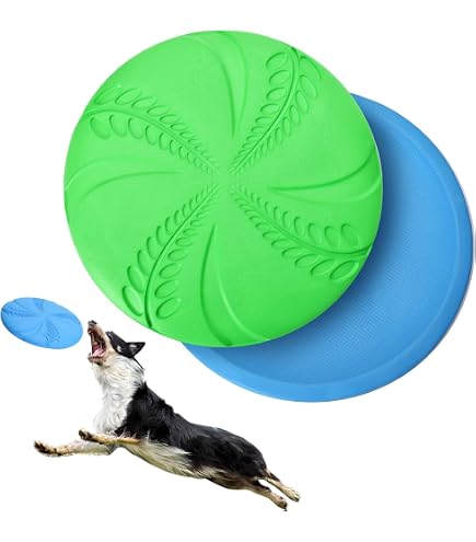 12x Quietschende Hundespielzeuge Aus TPR | Fußball, Ball & Ring Für Mittelgroße/große Hunde, Zahnreinigung