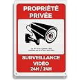 Panneau Dissuasif Intérieur Extérieur Panneaux 'Vidéo Surveillance' DAOUZL - Lot De 2, Aluminium 15x15cm, Pour Intérieur/extérieur Dissuasion Vol