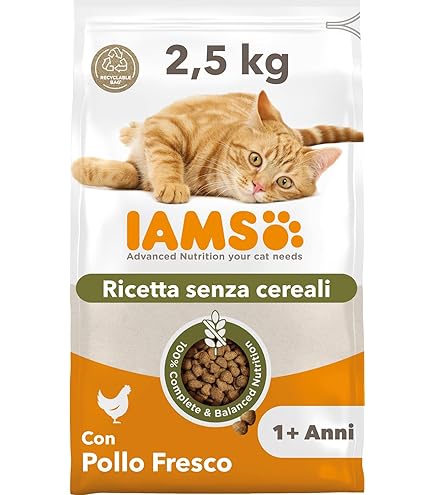 Ami Team Catfish Doppia Azione 5/0 Nero Nichel 12 Pezzi Per Pesca Siluro