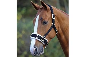 White Horse Equestrian Training Fleece Lined Padded Adjustable Lunging Cavesson