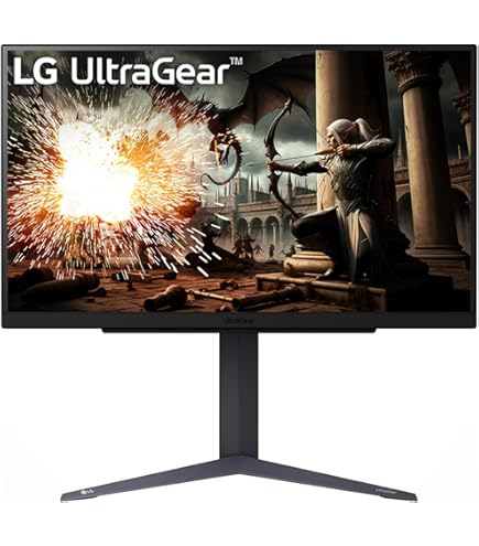 LG Electronics L1715S 17