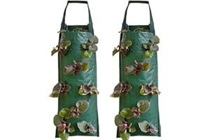 lohill 2er Pack Pflanztasche Hängend Vertikal Pflanzsack Pflanzbeutel Erdbeere Grow Tasche Atmungsaktiv