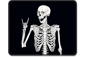 Human Skeleton