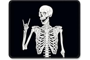 Human Skeleton
