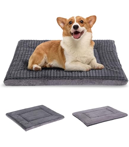 BEQHAUSE Hunde-Fußmatte – Saugfähig, Rutschfest, 50x81 Cm, Für Schmutzige Pfoten