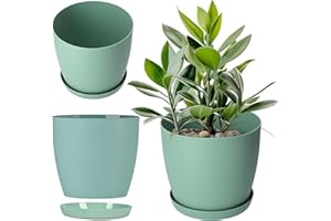 KADAX Macetero con Posavasos, Maceta Redonda de plástico, Maceta Mate para Cactus, helechos, Maceta Brillante para balcón, apartamento y terraza (30 cm, Menta)