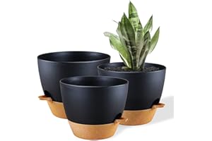 FORAGIFT 25/23/20cm Self-Watering Plant Pots Indoor, 3 Pack Large Plastic Plant Pots with Deep Reservior and High Drainage Holes for Indoor Outdoor Plants and Flowers, Black with Terracotta